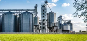 agroprocessing manufacturing plant processing silver silos drying cleaning storage agricultural products flour cereals grain granary elevator