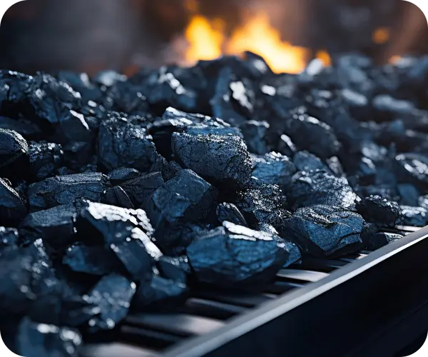 belt conveyor carryin gcoal